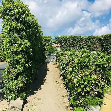 Casas Da Quinta Hébergement de vacances *