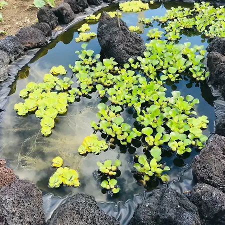 度假居 Casas Da Quinta 大里贝拉
