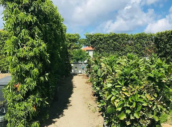 Casas Da Quinta Holiday home *