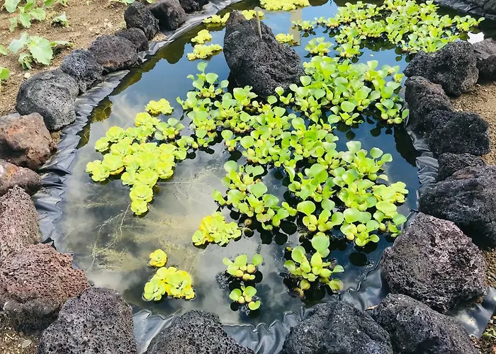 Holiday home Casas Da Quinta Ribeira Grande